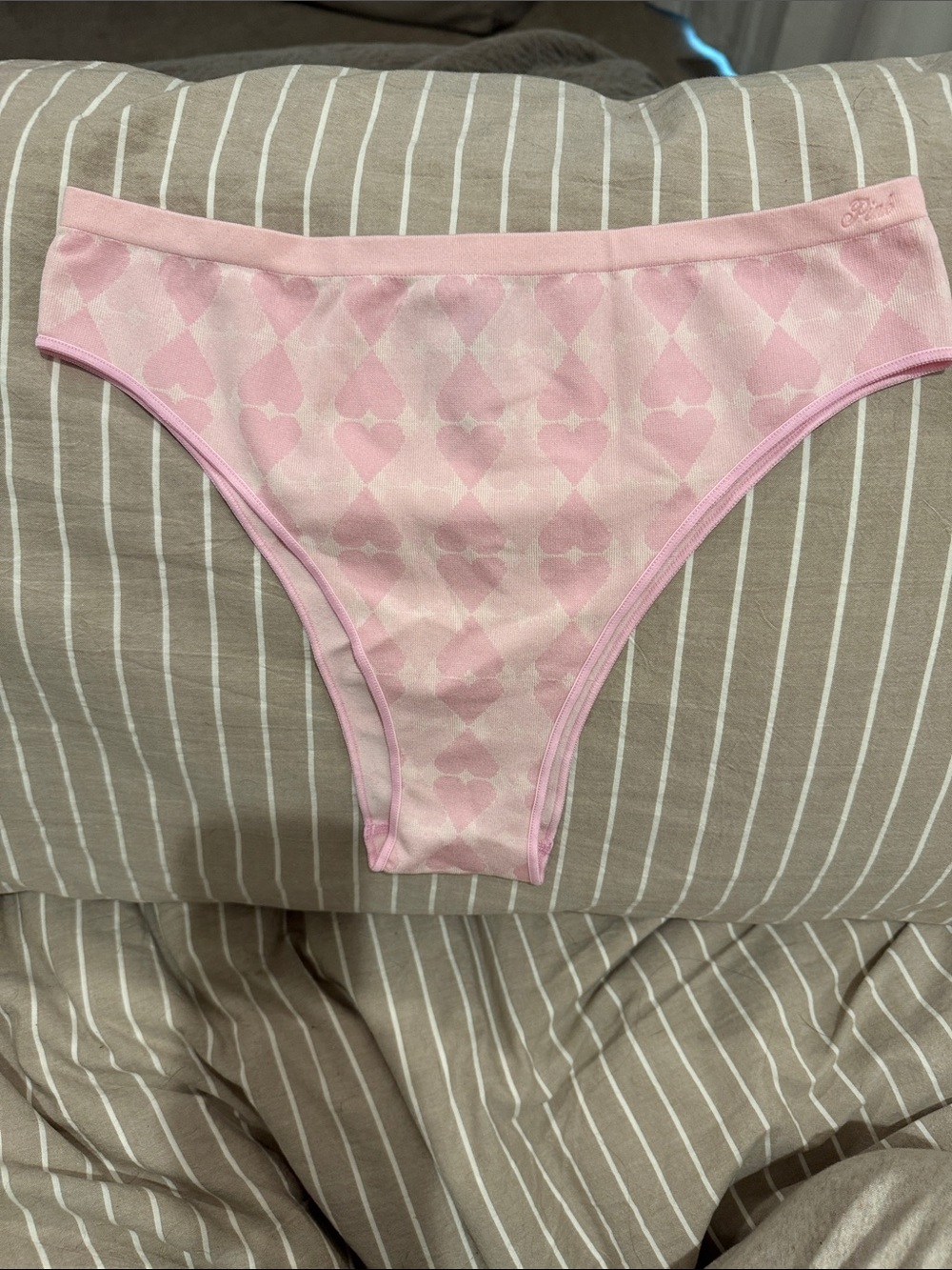 NWT PINK Victoria's Secret Light Pink Heart Jacquard Bikini Panty